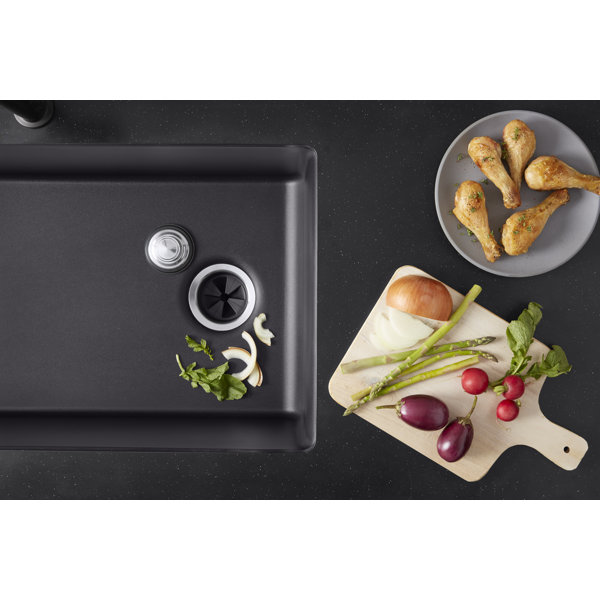 Kohler Reckon 3/4 Hp Garbage Disposal & Reviews Wayfair